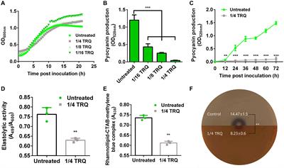 Traditional Chinese Medicine Tanreqing Inhibits Quorum Sensing Systems in Pseudomonas aeruginosa